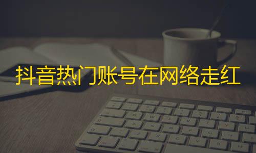 抖音热门账号在网络走红，你也能一步步实现，教你如何快速提高关注！