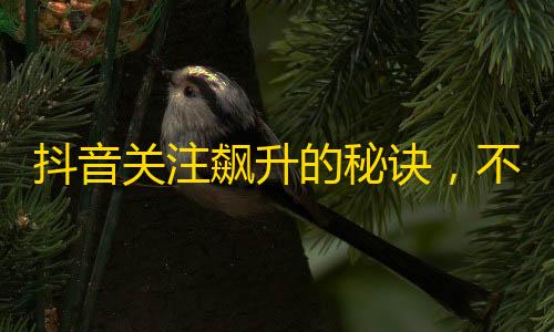 抖音关注飙升的秘诀，不要错过这些强效方法！