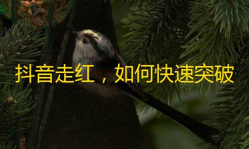 抖音走红，如何快速突破粉丝瓶颈？