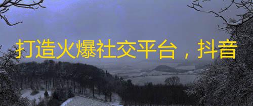 打造火爆社交平台，抖音关注量破6000万！