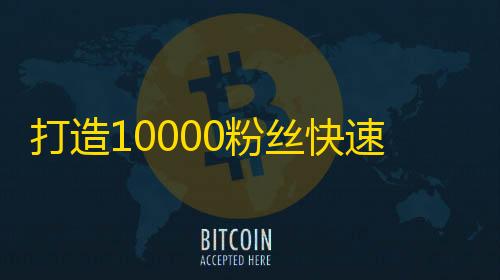 打造10000粉丝快速攻略，快手上怎样快速吸粉？